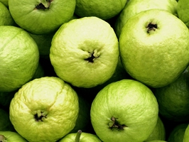 �c���鿴Ԕ��(x��)